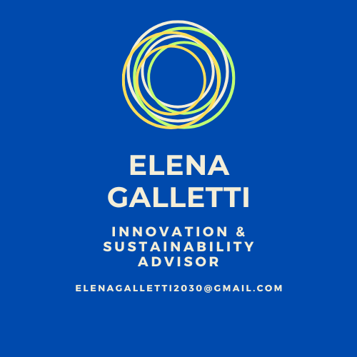 Logo ELENA GALLETTI | Sostenibilità , ESG , Sustainability Reporting